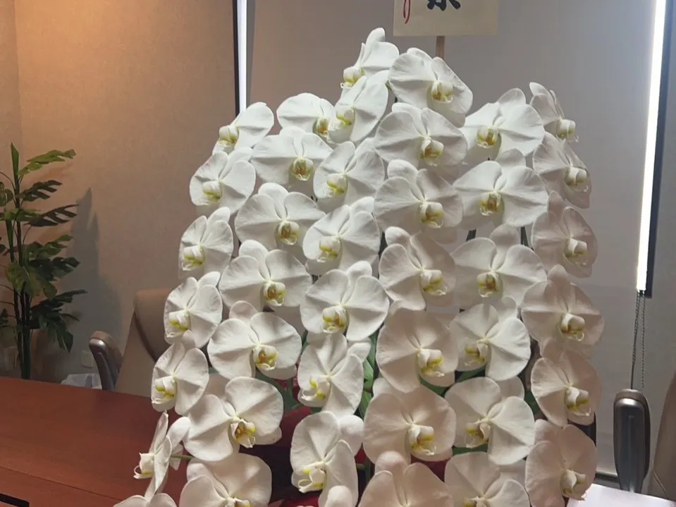 この度3月より新事務を開設しました❗️