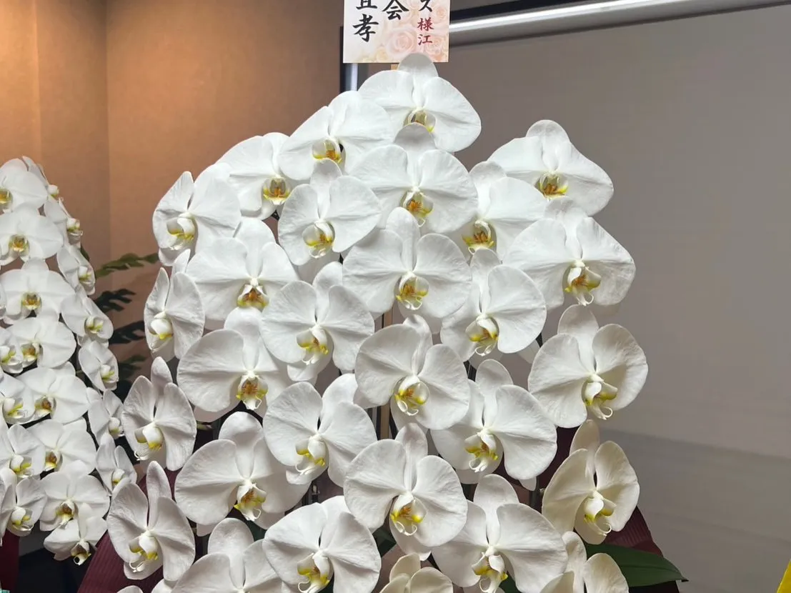 この度3月より新事務を開設しました❗️