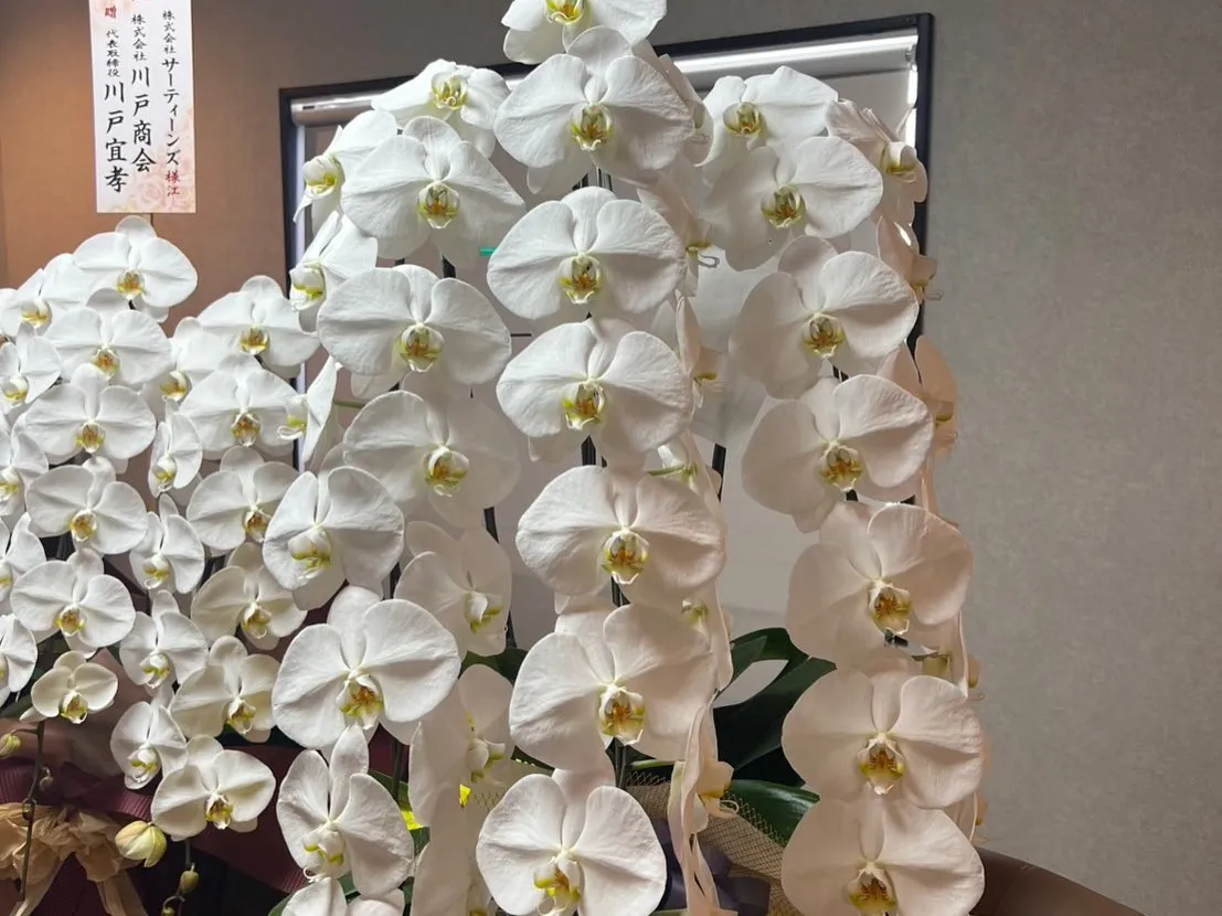 この度3月より新事務を開設しました❗️