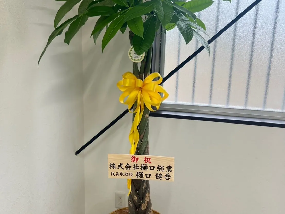 この度3月より新事務を開設しました❗️