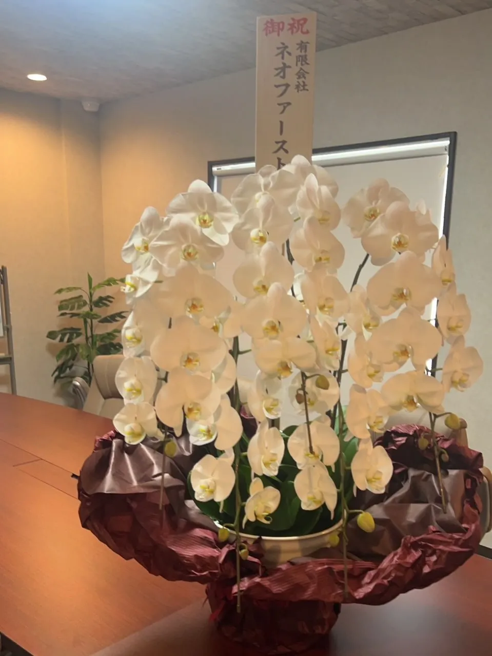 この度3月より新事務を開設しました❗️