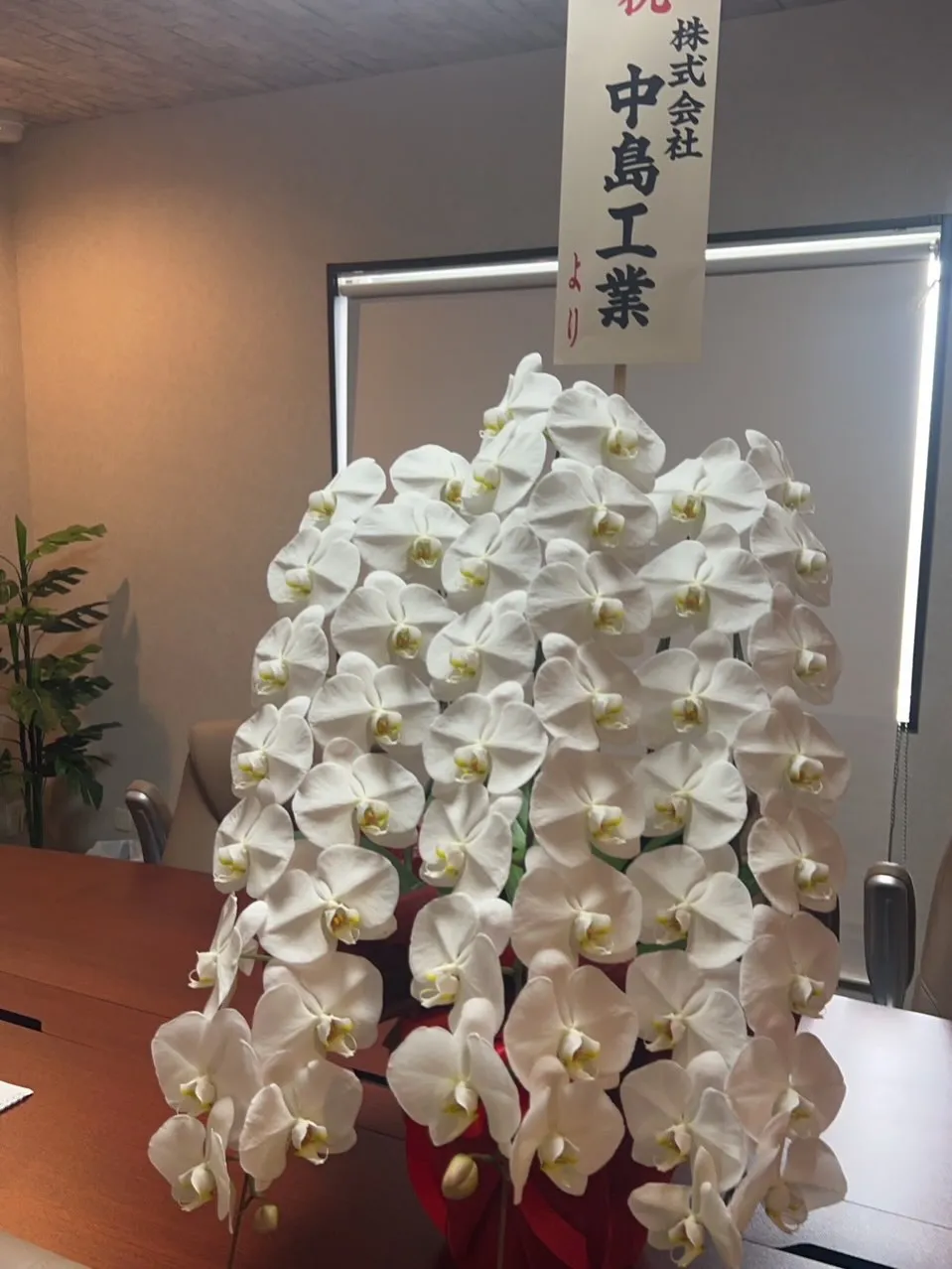 この度3月より新事務を開設しました❗️