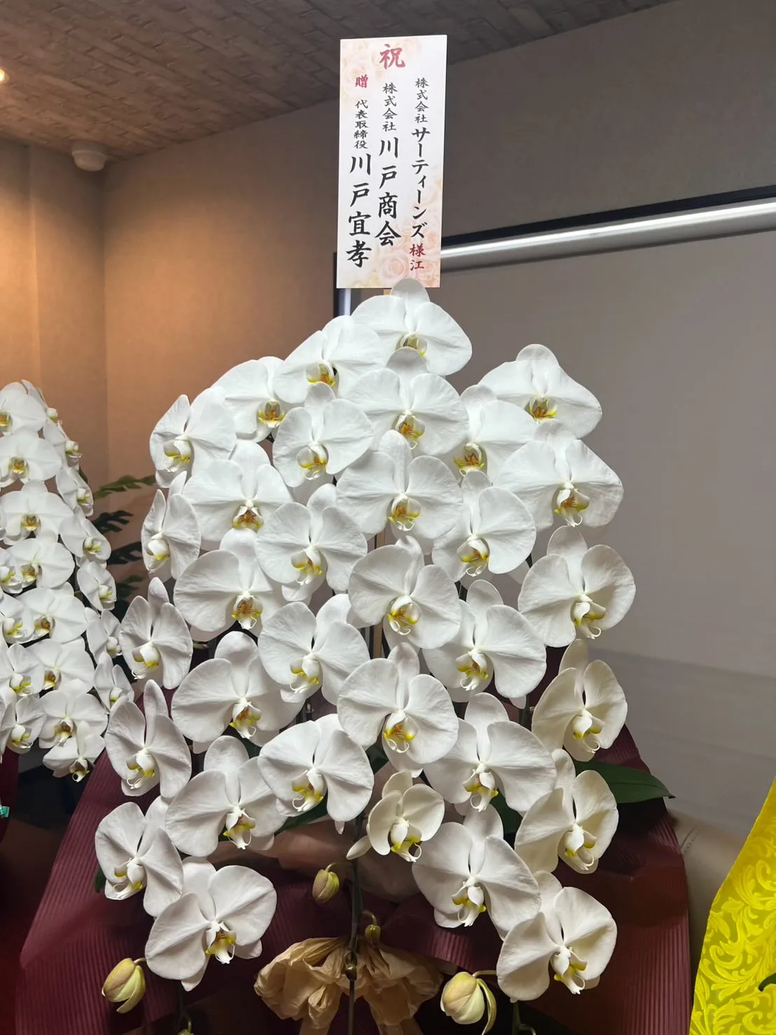 この度3月より新事務を開設しました❗️