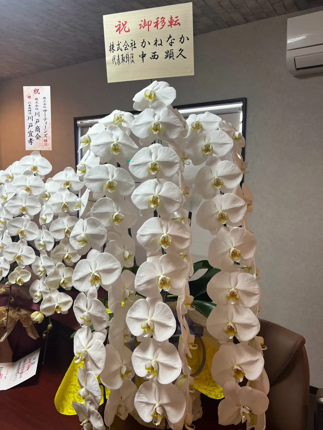 この度3月より新事務を開設しました❗️