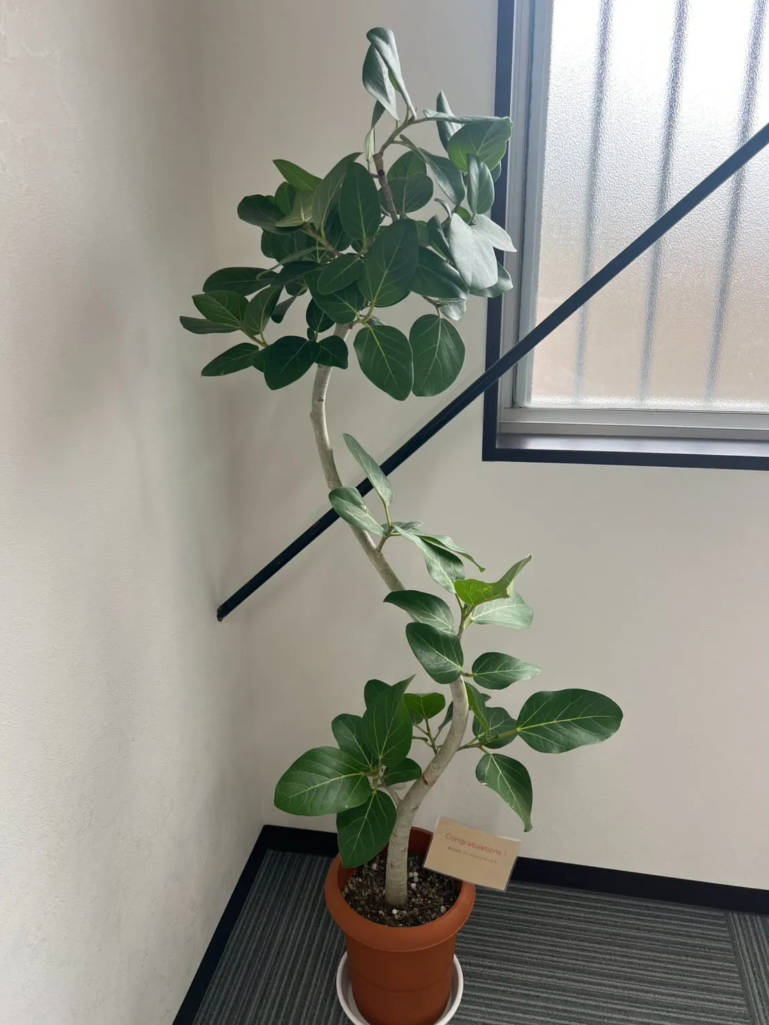 この度3月より新事務を開設しました❗️