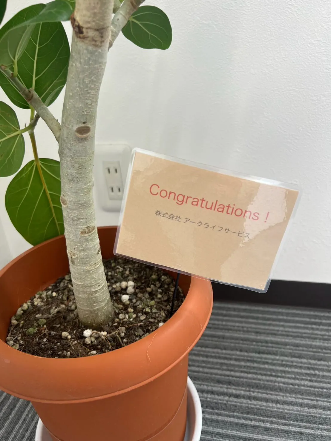 この度3月より新事務を開設しました❗️