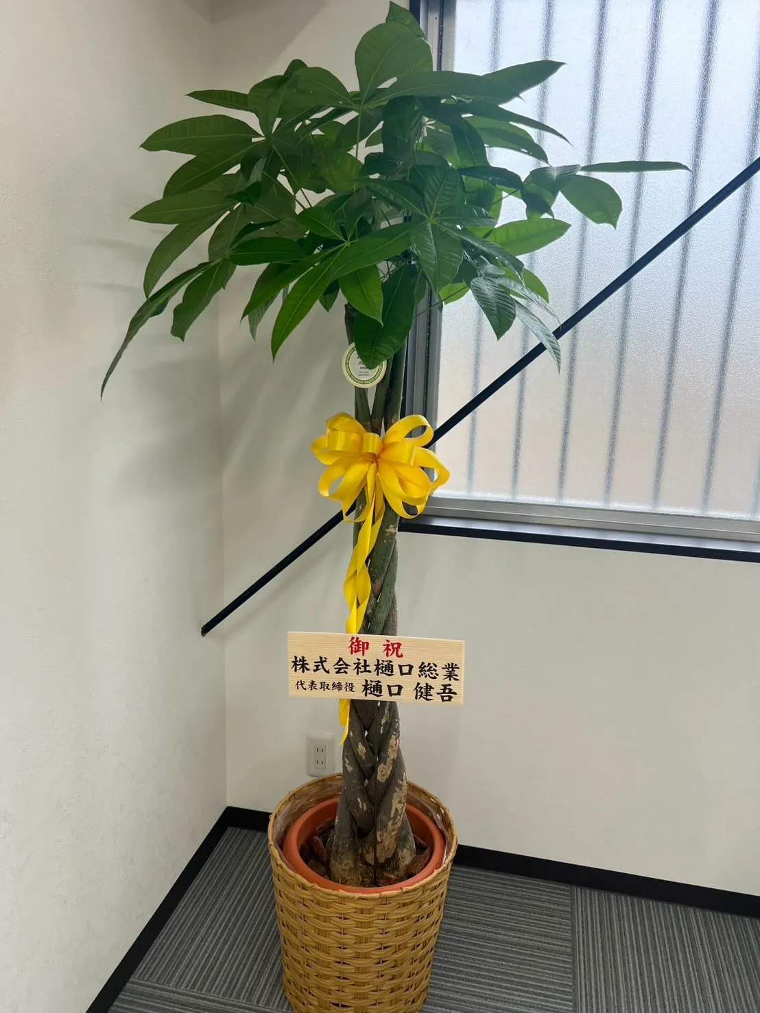 この度3月より新事務を開設しました❗️