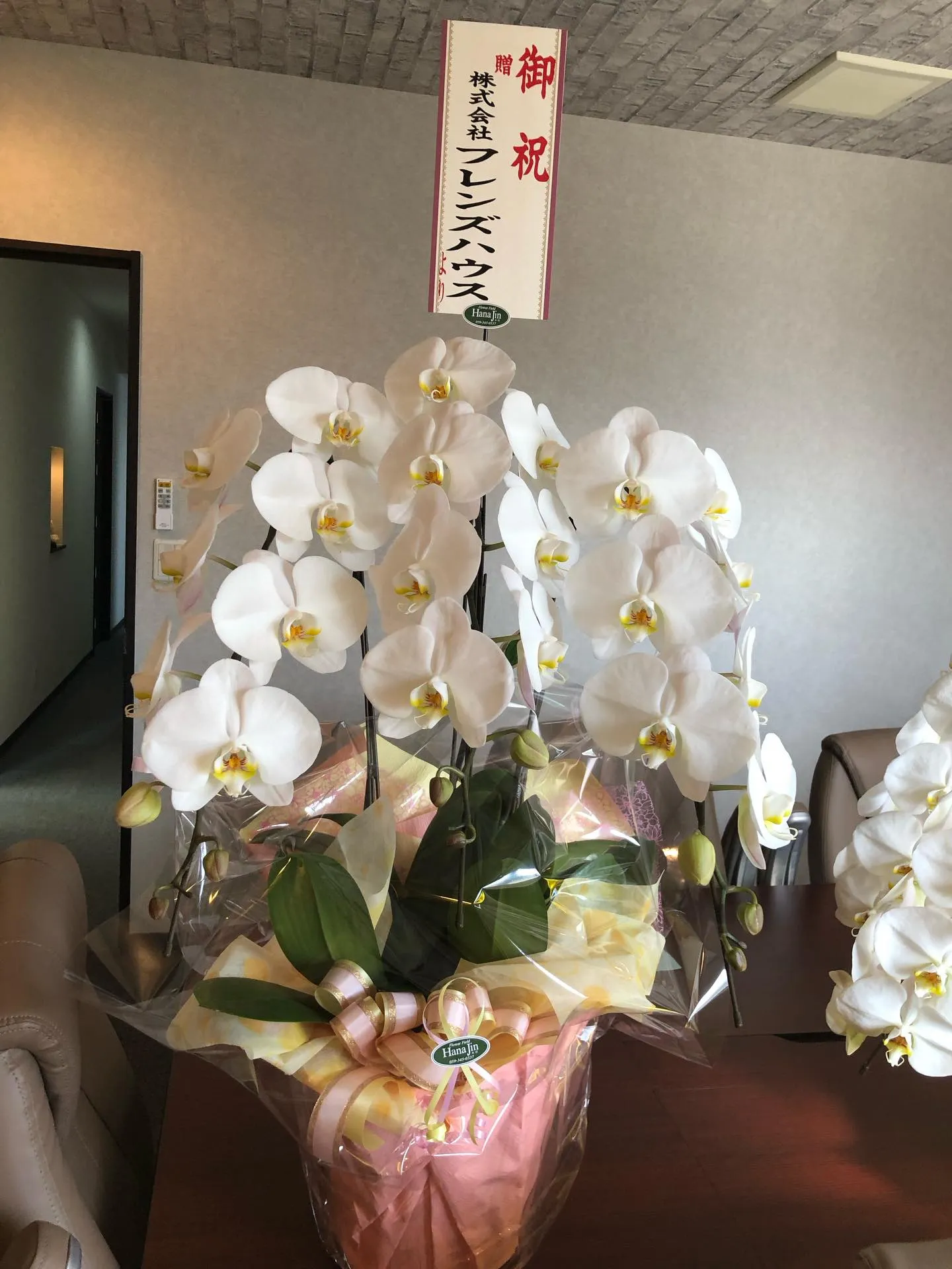 グループ会社のフレンズハウスから　お祝いの胡蝶蘭が届きました...